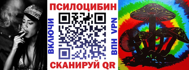 Псилоцибиновые грибы ЛСД  МЕГА tor  Светлоград 